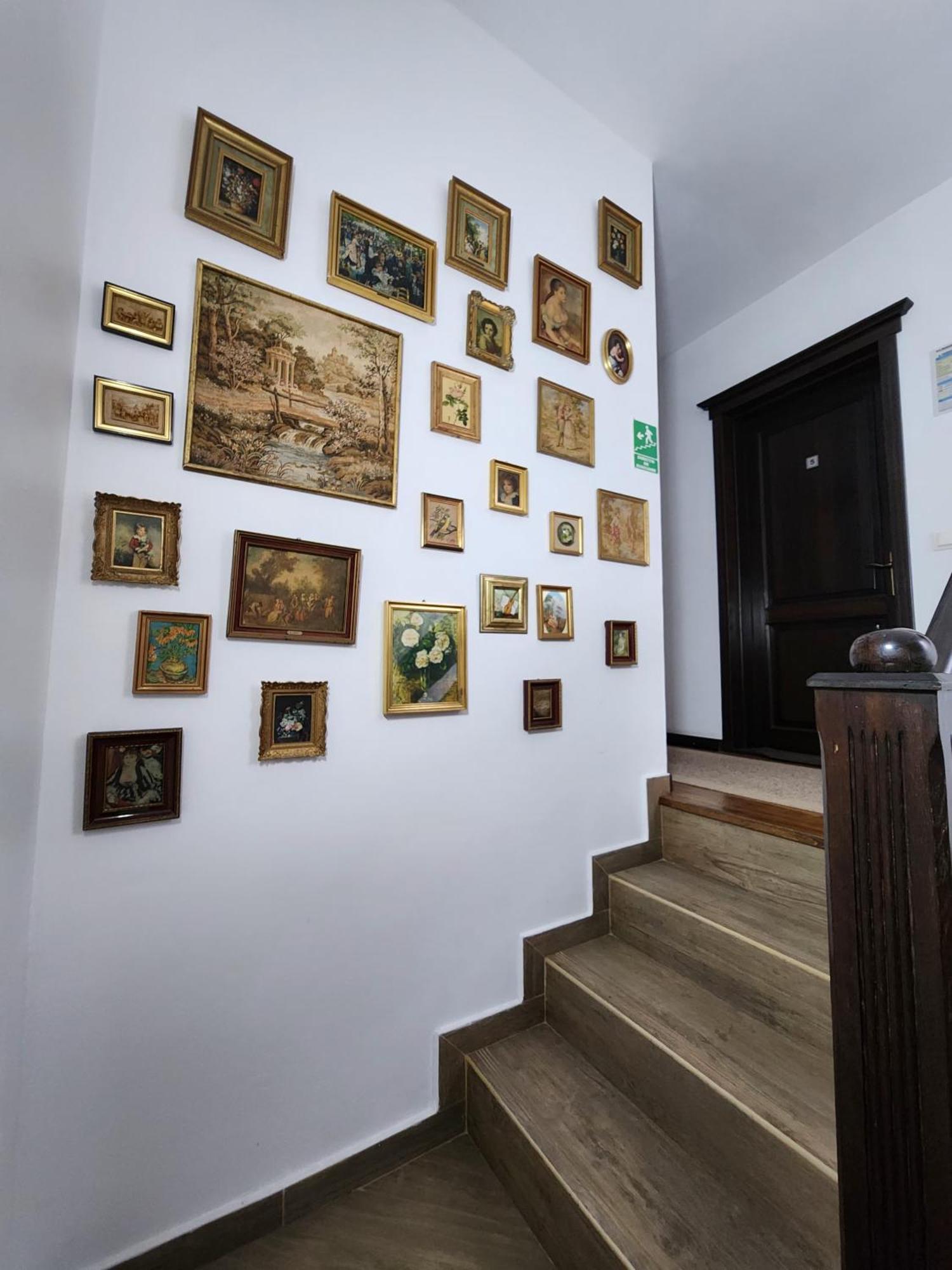 Pensiunea Iris Sighetu Marmaţiei Exterior foto