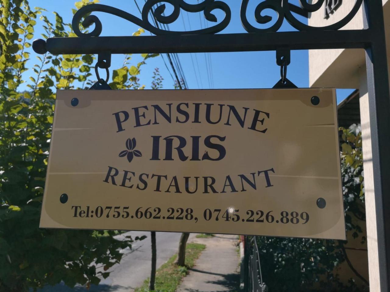 Pensiunea Iris Sighetu Marmaţiei Exterior foto